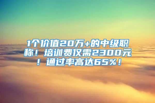 1個(gè)價(jià)值20萬(wàn)+的中級(jí)職稱！培訓(xùn)費(fèi)僅需2300元！通過(guò)率高達(dá)65%！