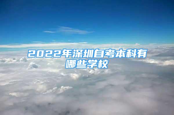 2022年深圳自考本科有哪些學(xué)校