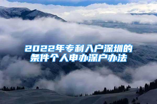 2022年專利入戶深圳的條件個(gè)人申辦深戶辦法