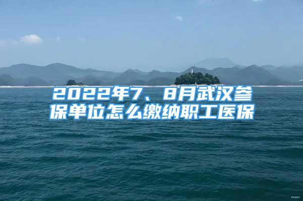 2022年7、8月武漢參保單位怎么繳納職工醫(yī)保