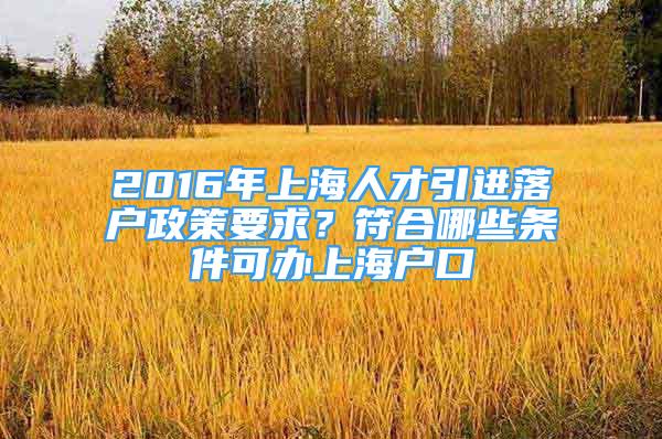 2016年上海人才引進落戶政策要求？符合哪些條件可辦上海戶口