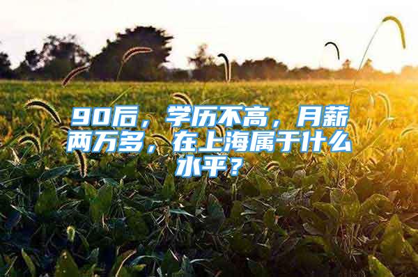 90后，學(xué)歷不高，月薪兩萬多，在上海屬于什么水平？