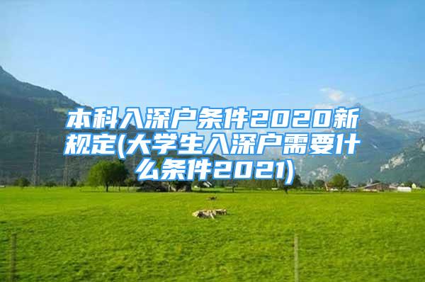 本科入深戶(hù)條件2020新規(guī)定(大學(xué)生入深戶(hù)需要什么條件2021)