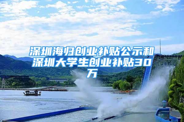 深圳海歸創(chuàng)業(yè)補貼公示和深圳大學(xué)生創(chuàng)業(yè)補貼30萬