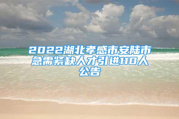 2022湖北孝感市安陸市急需緊缺人才引進(jìn)110人公告