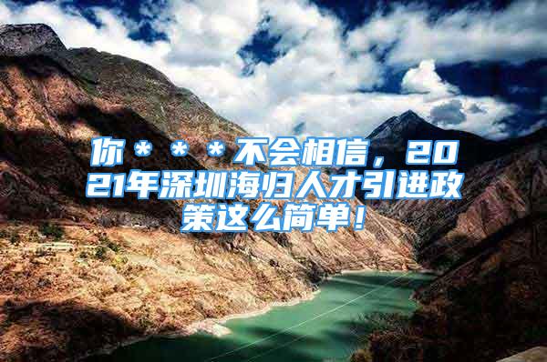 你＊＊＊不會相信，2021年深圳海歸人才引進(jìn)政策這么簡單！