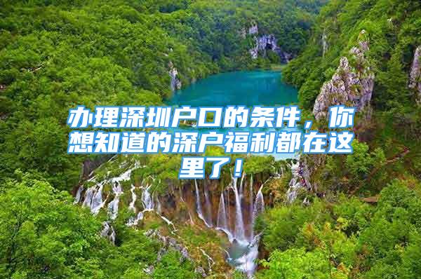 辦理深圳戶口的條件，你想知道的深戶福利都在這里了！