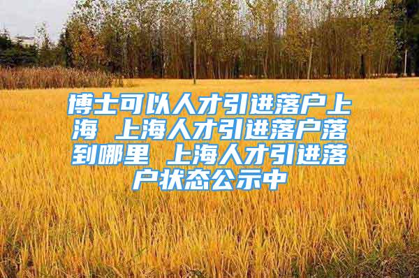 博士可以人才引進落戶上海 上海人才引進落戶落到哪里 上海人才引進落戶狀態(tài)公示中