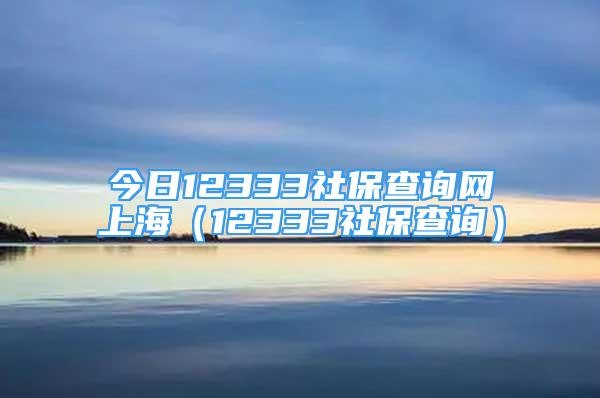 今日12333社保查詢網(wǎng)上海（12333社保查詢）