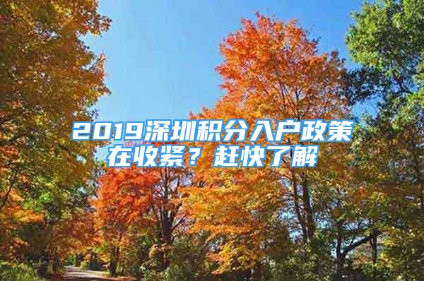 2019深圳積分入戶政策在收緊？趕快了解