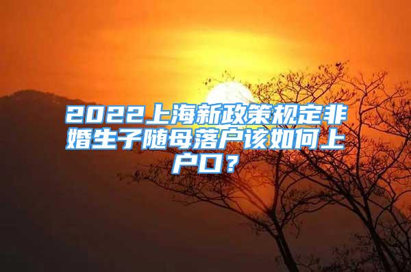 2022上海新政策規(guī)定非婚生子隨母落戶該如何上戶口？