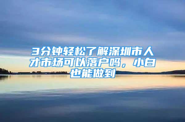 3分鐘輕松了解深圳市人才市場可以落戶嗎，小白也能做到