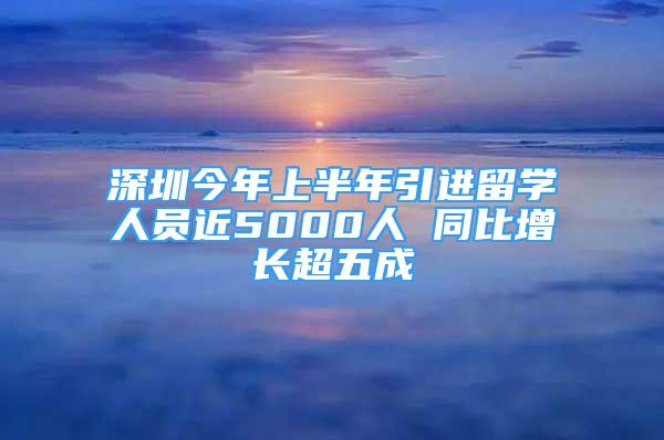 深圳今年上半年引進(jìn)留學(xué)人員近5000人 同比增長(zhǎng)超五成