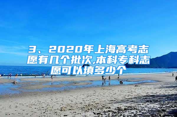 3、2020年上海高考志愿有幾個(gè)批次,本科?？浦驹缚梢蕴疃嗌賯€(gè)