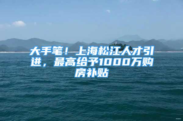 大手筆！上海松江人才引進，最高給予1000萬購房補貼