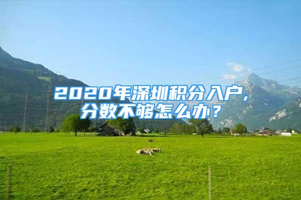 2020年深圳積分入戶,分?jǐn)?shù)不夠怎么辦？