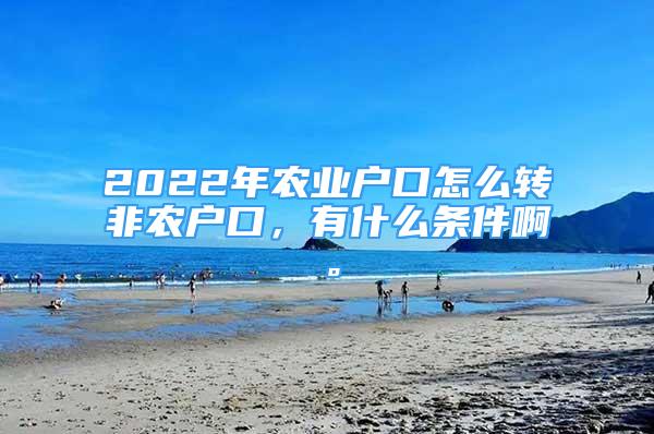 2022年農(nóng)業(yè)戶口怎么轉(zhuǎn)非農(nóng)戶口，有什么條件啊。