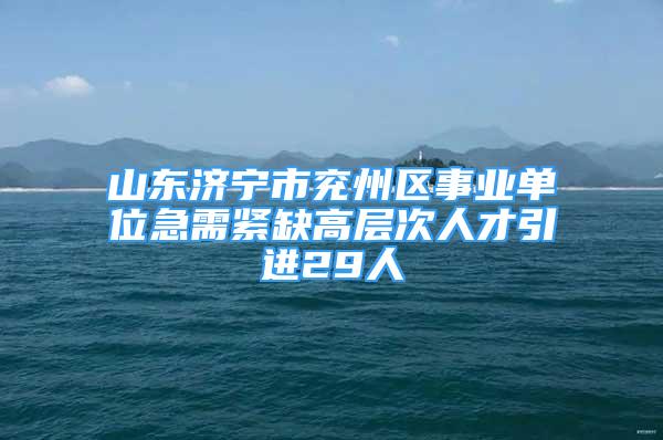 山東濟(jì)寧市兗州區(qū)事業(yè)單位急需緊缺高層次人才引進(jìn)29人