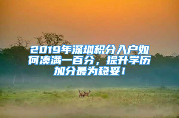 2019年深圳積分入戶如何湊滿一百分，提升學(xué)歷加分最為穩(wěn)妥！