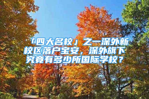 「四大名?！怪簧钔庑滦^(qū)落戶寶安，深外旗下究竟有多少所國際學校？