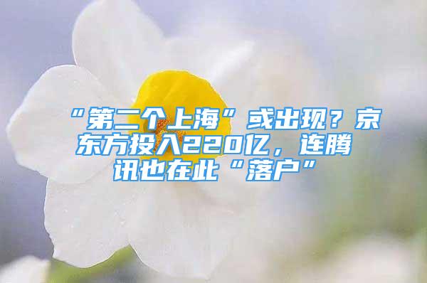 “第二個(gè)上?！被虺霈F(xiàn)？京東方投入220億，連騰訊也在此“落戶”