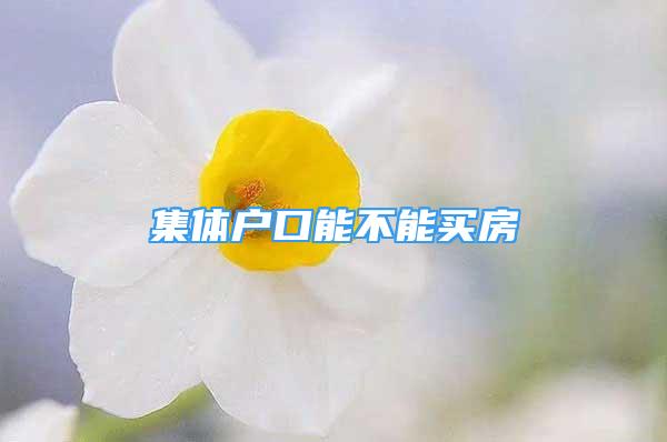 集體戶(hù)口能不能買(mǎi)房