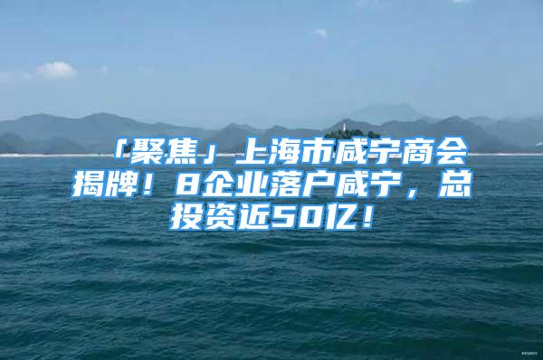 「聚焦」上海市咸寧商會(huì)揭牌！8企業(yè)落戶咸寧，總投資近50億！