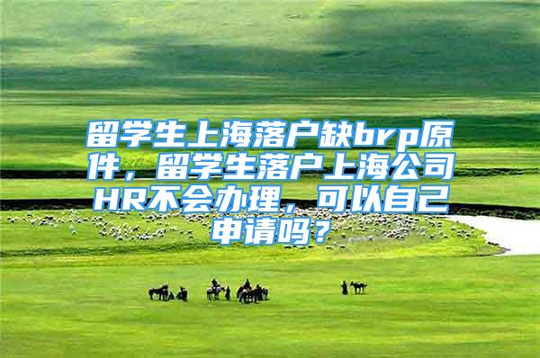 留學(xué)生上海落戶缺brp原件，留學(xué)生落戶上海公司HR不會辦理，可以自己申請嗎？