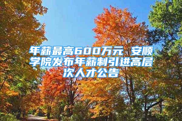 年薪最高600萬(wàn)元 安順學(xué)院發(fā)布年薪制引進(jìn)高層次人才公告