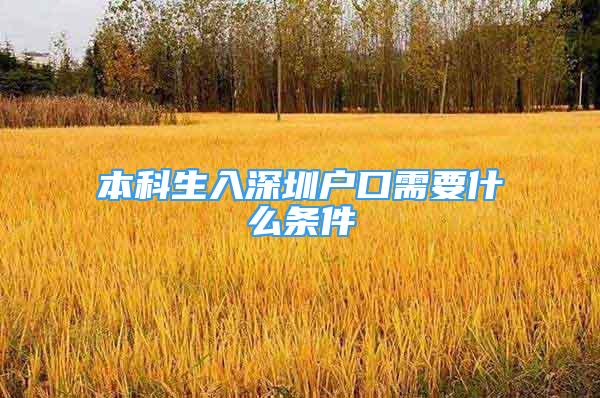 本科生入深圳戶口需要什么條件