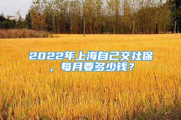 2022年上海自己交社保，每月要多少錢？