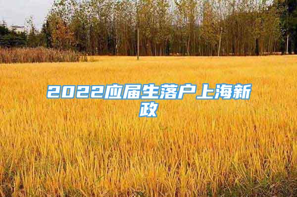 2022應(yīng)屆生落戶上海新政