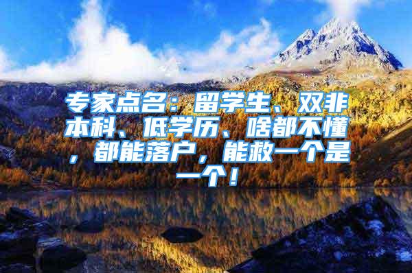 專家點名：留學生、雙非本科、低學歷、啥都不懂，都能落戶，能救一個是一個！