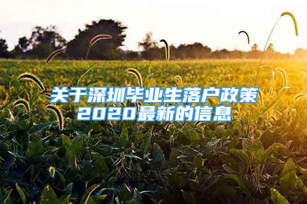 關(guān)于深圳畢業(yè)生落戶政策2020最新的信息