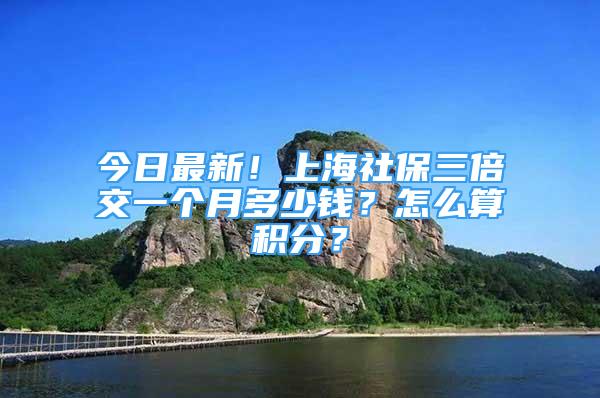 今日最新！上海社保三倍交一個(gè)月多少錢(qián)？怎么算積分？