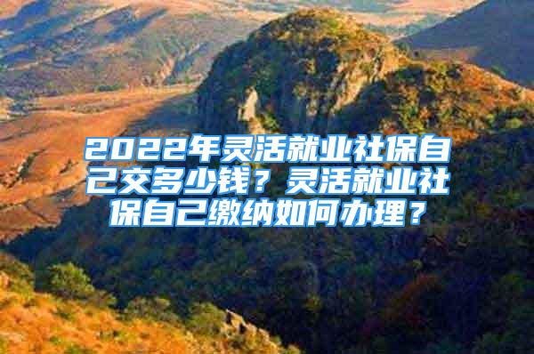 2022年靈活就業(yè)社保自己交多少錢？靈活就業(yè)社保自己繳納如何辦理？