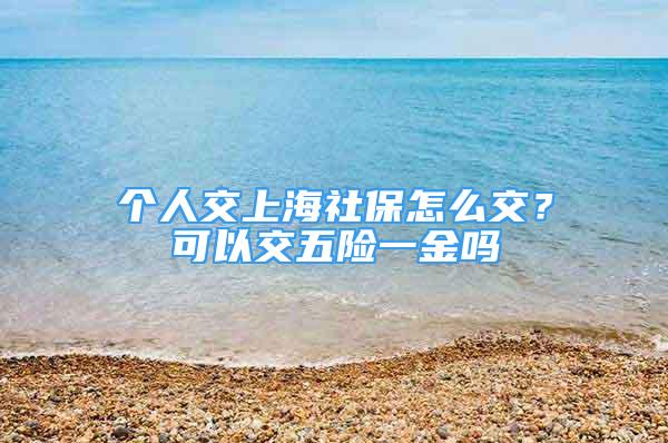 個(gè)人交上海社保怎么交？可以交五險(xiǎn)一金嗎