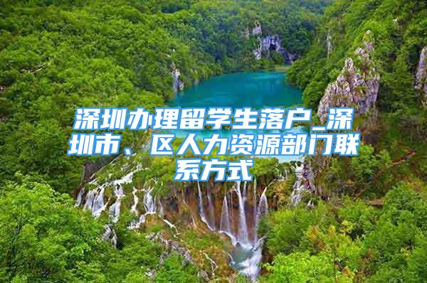 深圳辦理留學(xué)生落戶_深圳市、區(qū)人力資源部門聯(lián)系方式