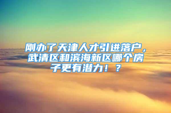 剛辦了天津人才引進(jìn)落戶，武清區(qū)和濱海新區(qū)哪個(gè)房子更有潛力??？