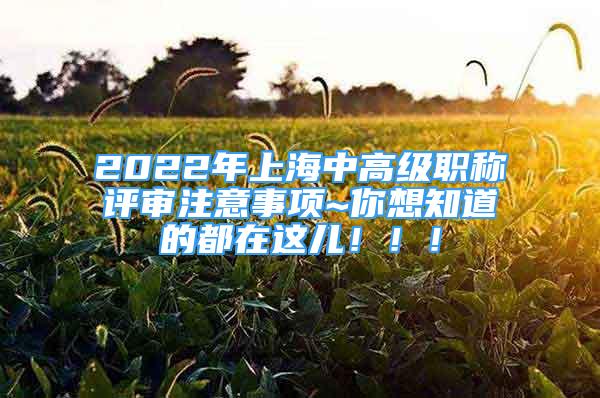 2022年上海中高級職稱評審注意事項(xiàng)~你想知道的都在這兒?。?！