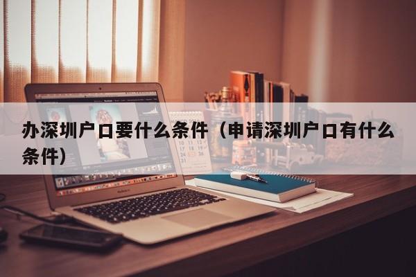 辦深圳戶口要什么條件（申請(qǐng)深圳戶口有什么條件）