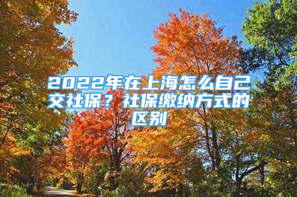 2022年在上海怎么自己交社保？社保繳納方式的區(qū)別