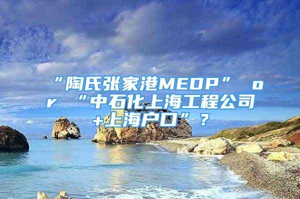 “陶氏張家港MEDP” or “中石化上海工程公司+上海戶口”？