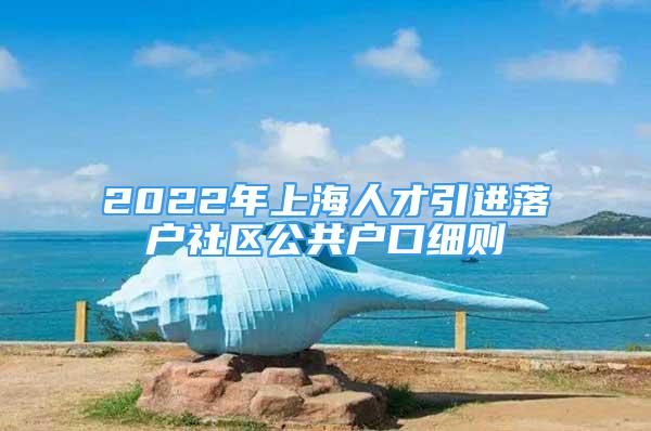 2022年上海人才引進落戶社區(qū)公共戶口細則