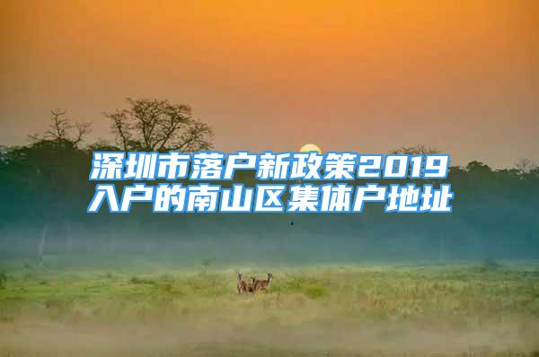 深圳市落戶新政策2019入戶的南山區(qū)集體戶地址