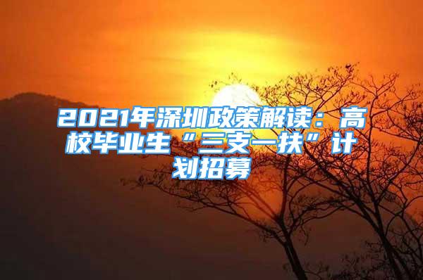 2021年深圳政策解讀：高校畢業(yè)生“三支一扶”計(jì)劃招募