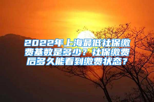 2022年上海最低社保繳費(fèi)基數(shù)是多少？社保繳費(fèi)后多久能看到繳費(fèi)狀態(tài)？