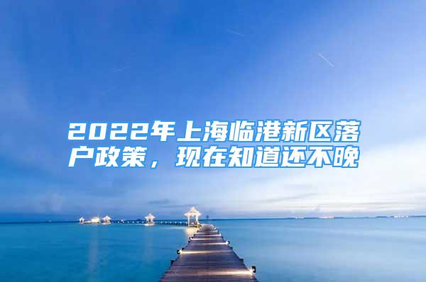 2022年上海臨港新區(qū)落戶(hù)政策，現(xiàn)在知道還不晚