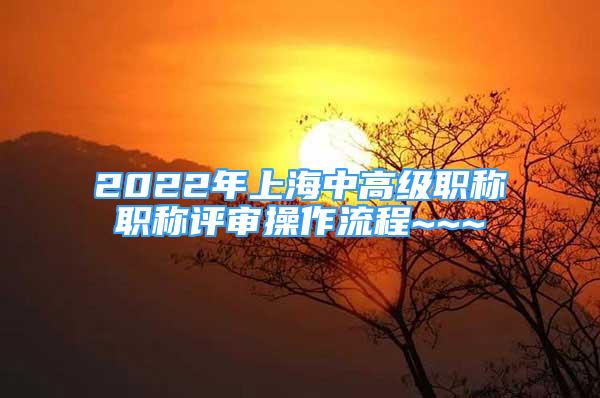 2022年上海中高級職稱職稱評審操作流程~~~