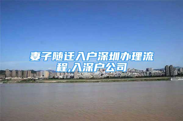 妻子隨遷入戶深圳辦理流程,入深戶公司